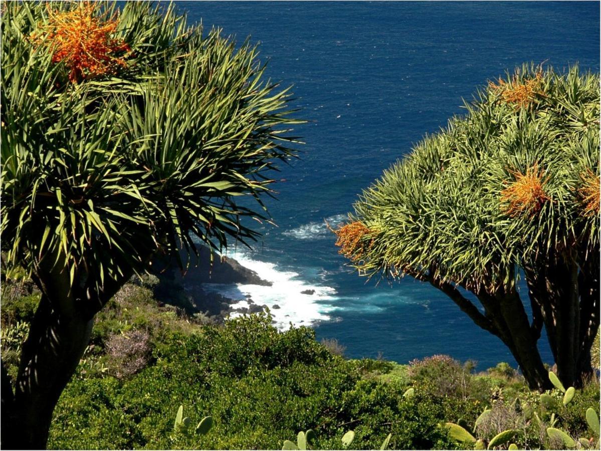Feriendomizil Finca Tijarafe Mit Beheiztem, Abdeckbarem Pool エクステリア 写真