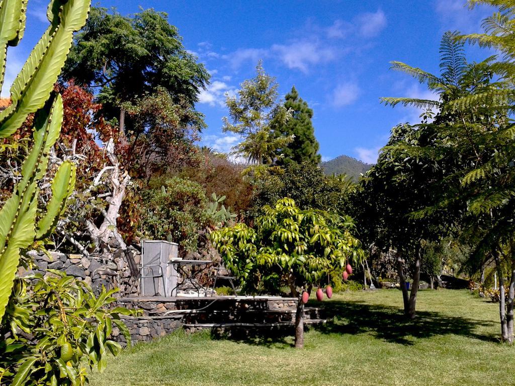 Feriendomizil Finca Tijarafe Mit Beheiztem, Abdeckbarem Pool エクステリア 写真